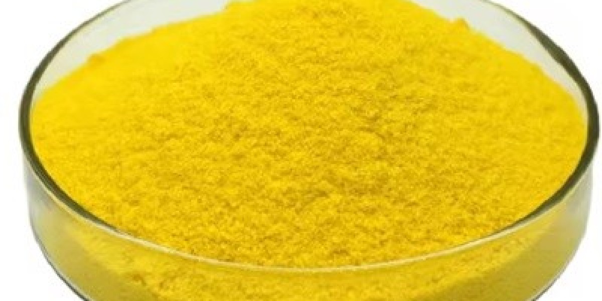 Explores the Growing Polyaluminum Chloride Market for Revealing Key Industry Trends and Future Growth Prospects