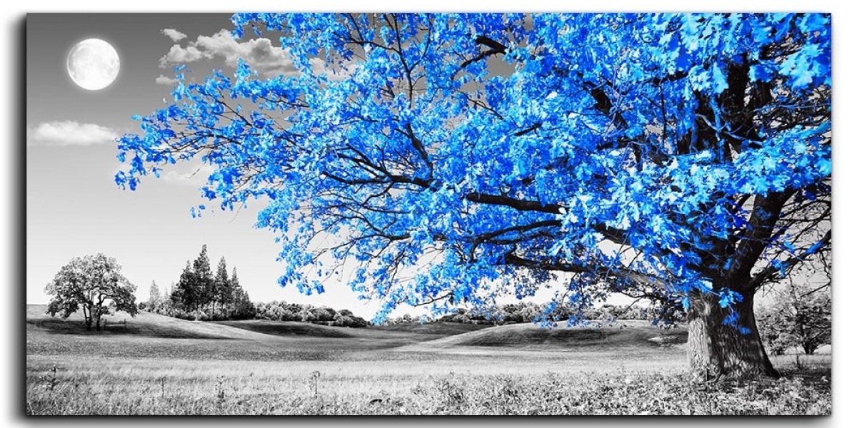 Transform Your Walls with a Single-Piece Canvas