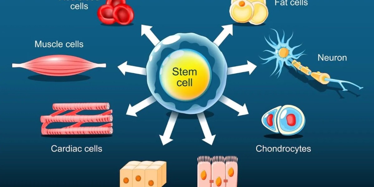 Discover the best Quality cutting-edge stem cell treatments in Japan