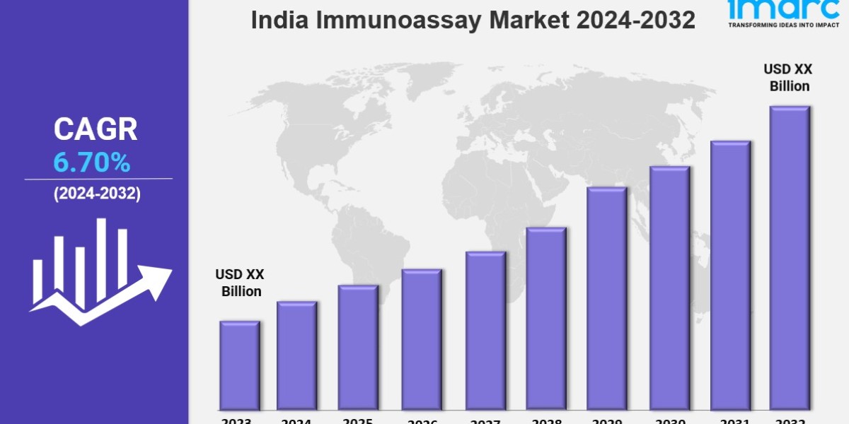 India Intravenous Solution Market Size, Share, Growth & Report 2025-2033