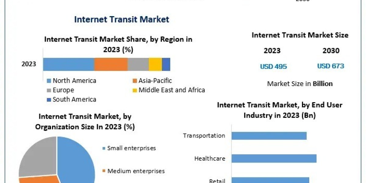 Global Internet Transit Market: Industry Insights and Emerging Technologies