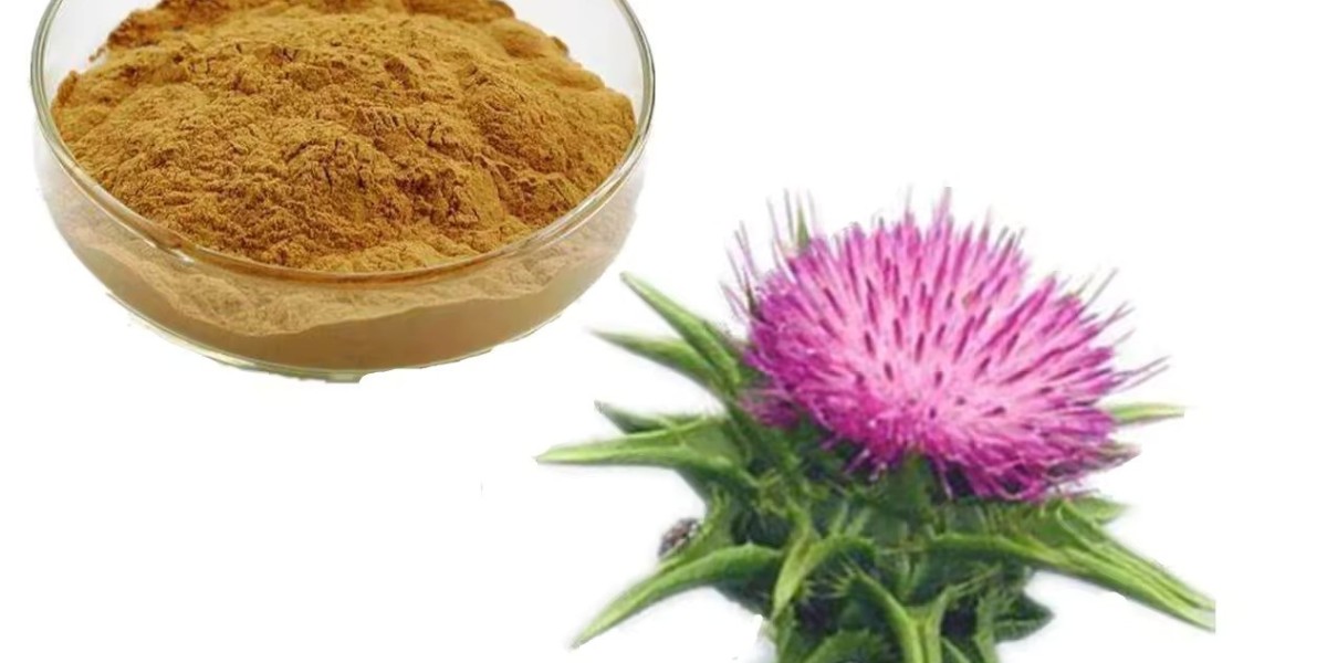 Milk Thistle Supplements Market Facing Critical Threats That Impact Growth And Competitive Landscape