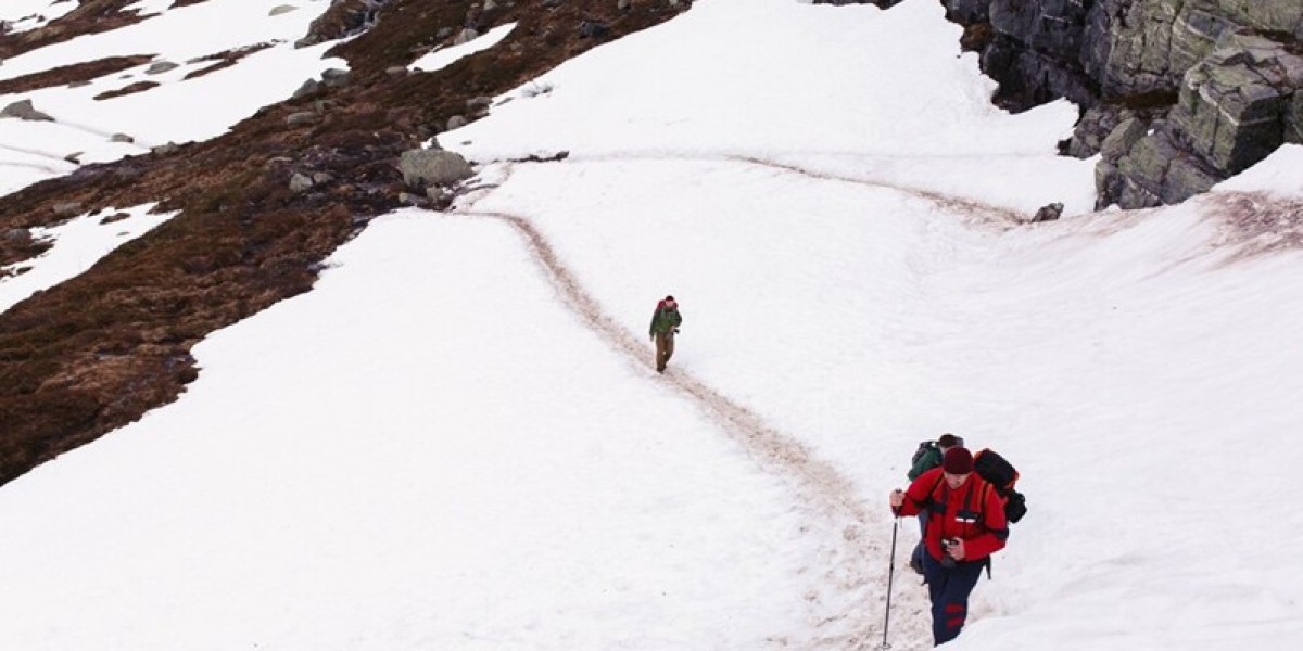 Uttarakhand Trekking: Why Brahmatal Trek Should Be on Every Adventurer's Bucket List