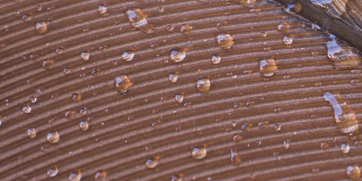 SBS Waterproofing Membrane – Easy Installation & Maximum Protection