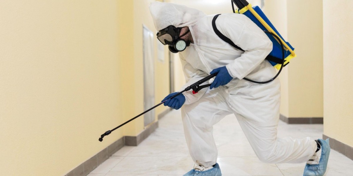 Understanding the Termite Inspection Process: A Step-by-Step Guide