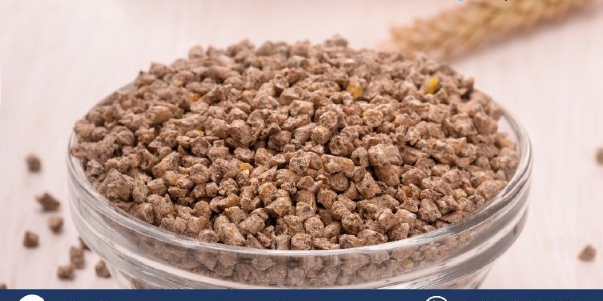 Feed Enzymes Market:Growth, Trends, and Forecast 2025-2034