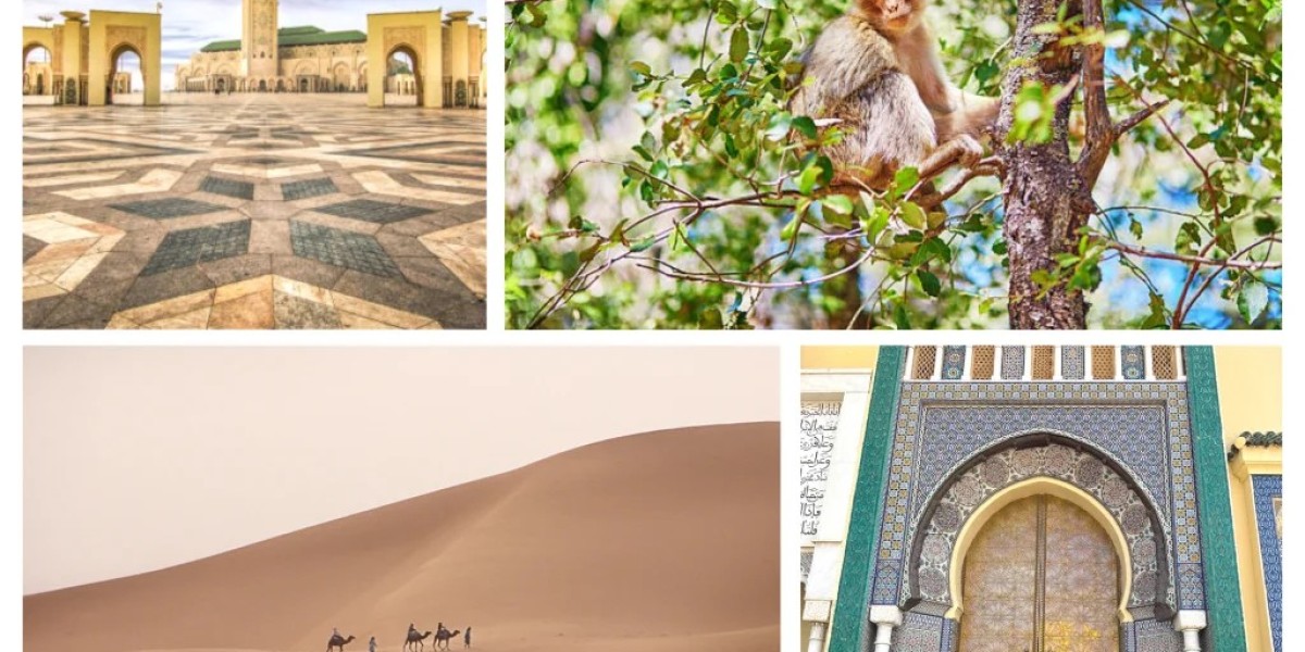 Experience the Thrill of Morocco Desert Camping with Desert Discovery Tours