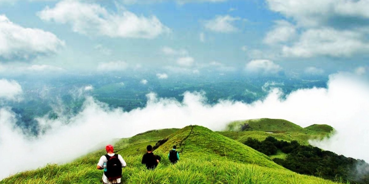 Mysore Ooty Coorg Tour – Experience History & Serenity