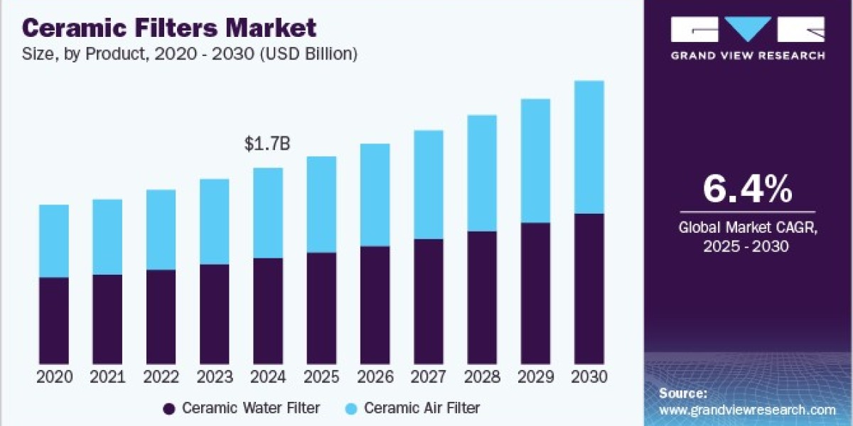 Ceramic Filters Market Overview: Regional Insights and Growth Potential Explored