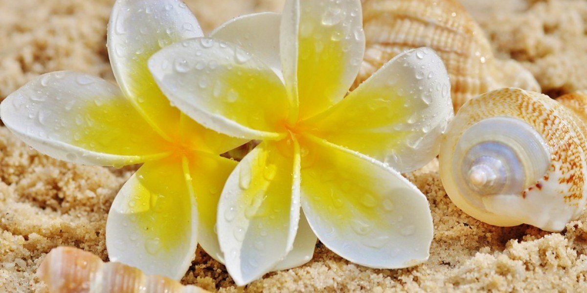 Frangipani Extract Market: Strategic Insights for New Entrants