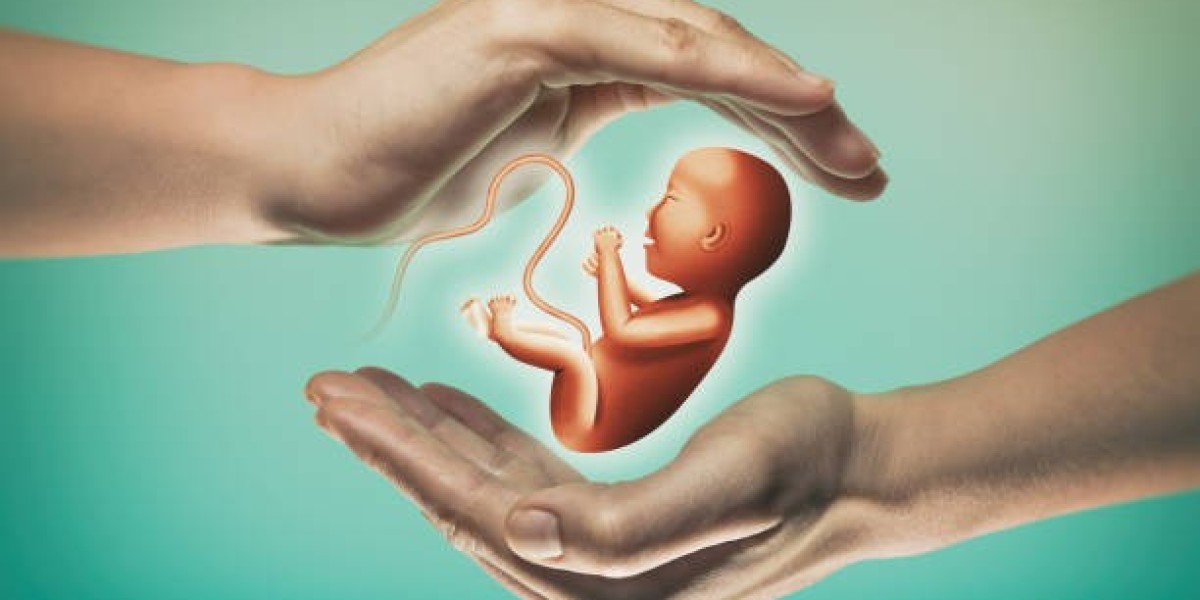 In-Vitro Fertilization Market Growth, Share, Past Research, Deep Analysis and Present Data 2024-2032