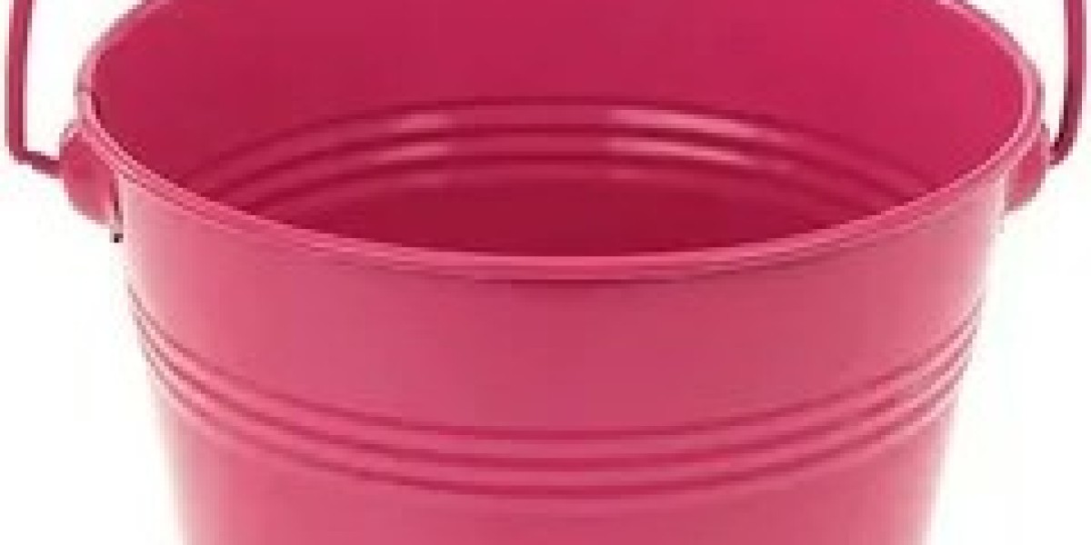 Metal Pail Market Growth Regional Market Trends and Expansion Opportunities