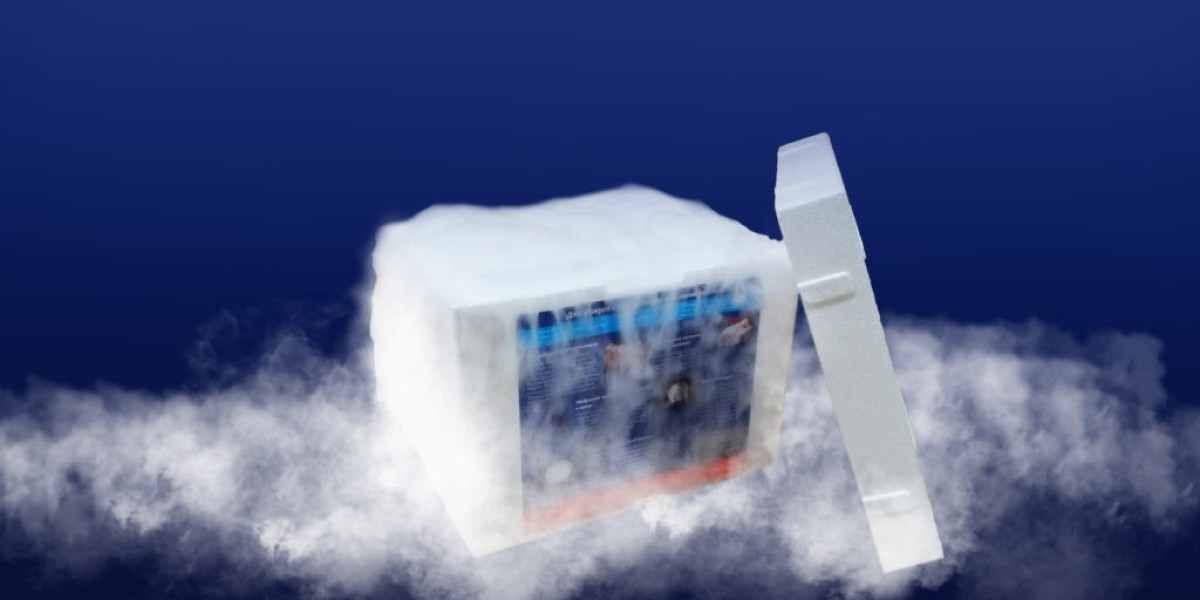 Dry Ice Market Redefining Cold Chain Logistics and Industrial Applications