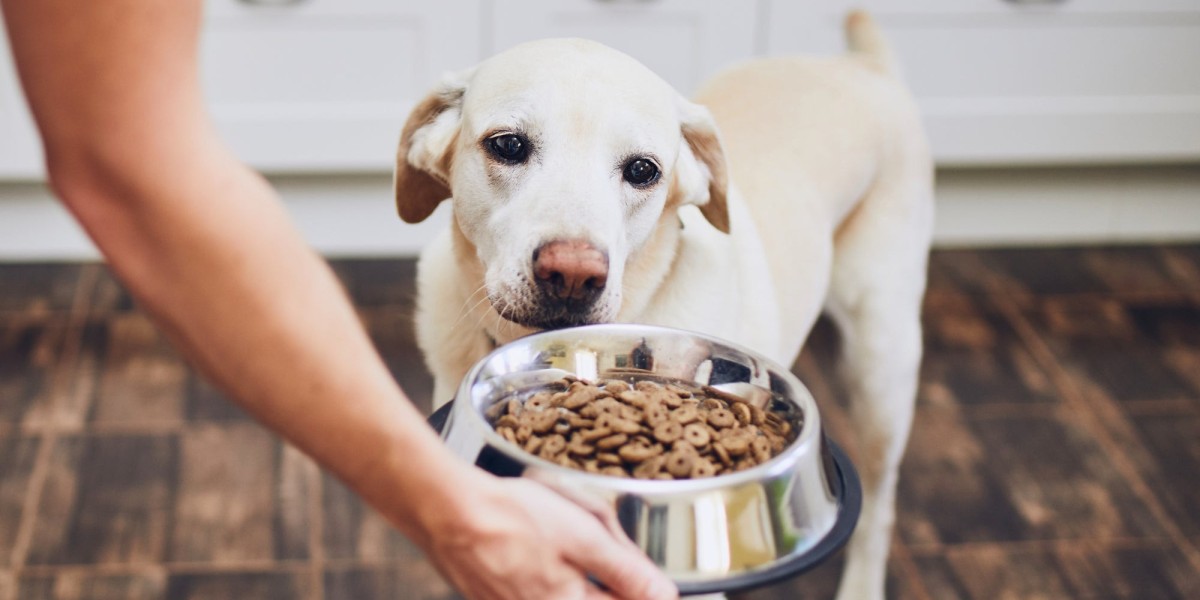Pet Food Market Competition and the Push for Healthier, Sustainable Options