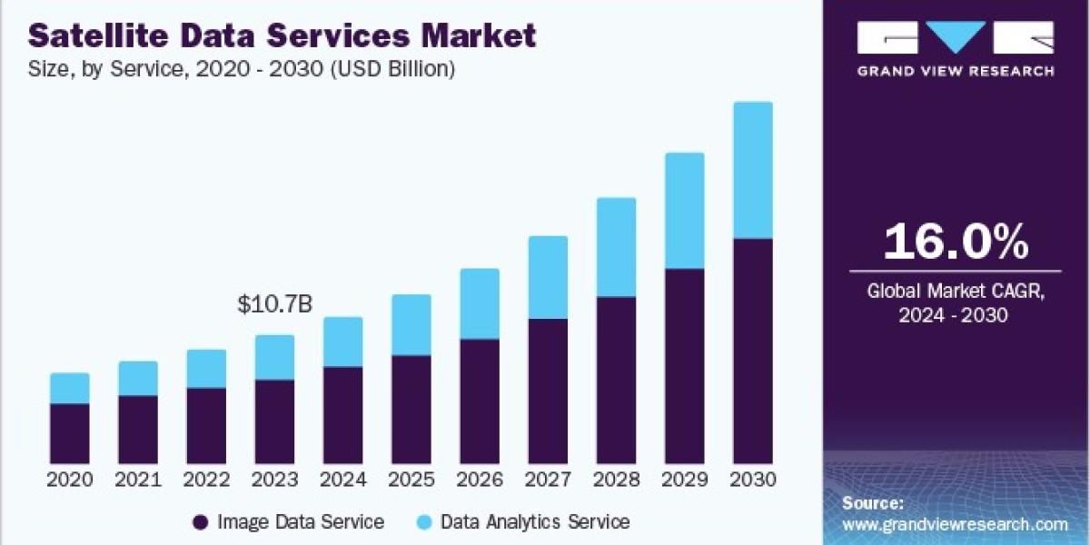 Satellite Data Services Market: Innovations Transforming Data Analytics