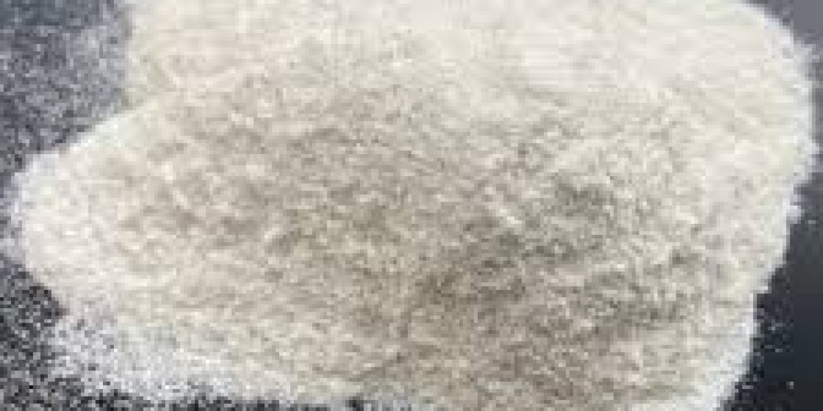 Chitosan Market Overview of Current Trends and Regional Developments