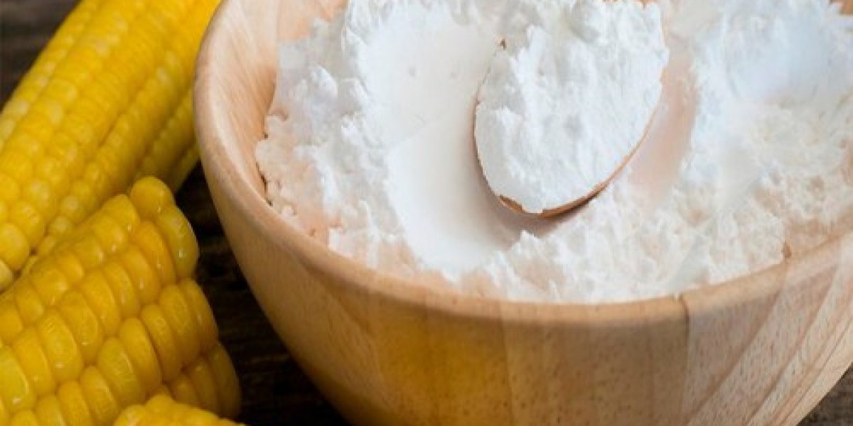 Starch-derived Fiber Market: Expanding Opportunities in Functional Foods, Bio-Based Packaging, and Sustainable Solutions