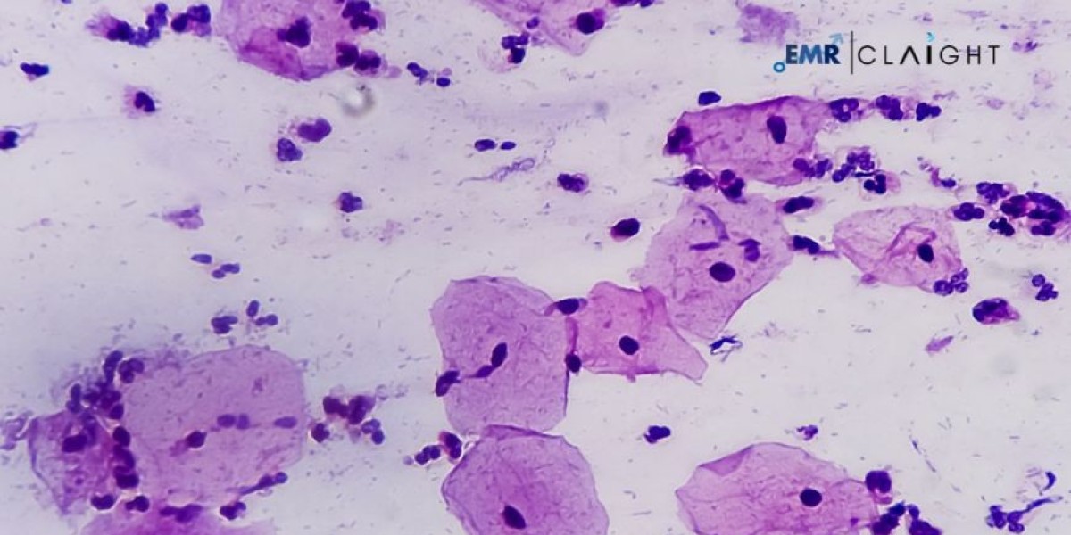 Cancer Diagnostics Market Size, Share & Growth | 2034