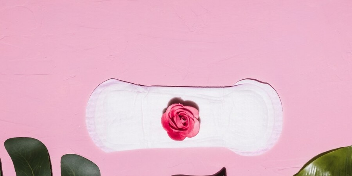 Reusable Sanitary Pads Market Shifts: Innovations, Regulations, and Industry Trends Reshaping the Global Market