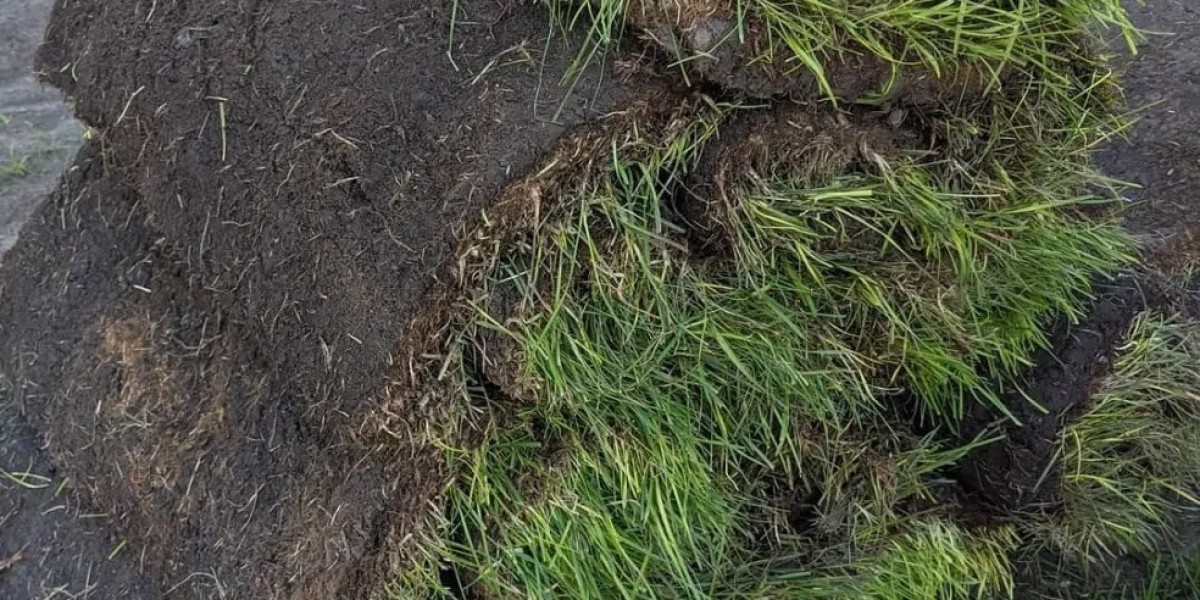 Finding the Right Landscaper in Edmonton, AB: What to Look For