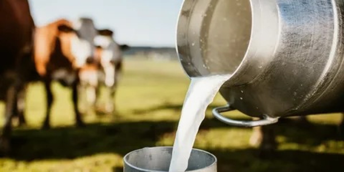Dairy Container Market Strategies Cost Optimization and Efficient Manufacturing Practices