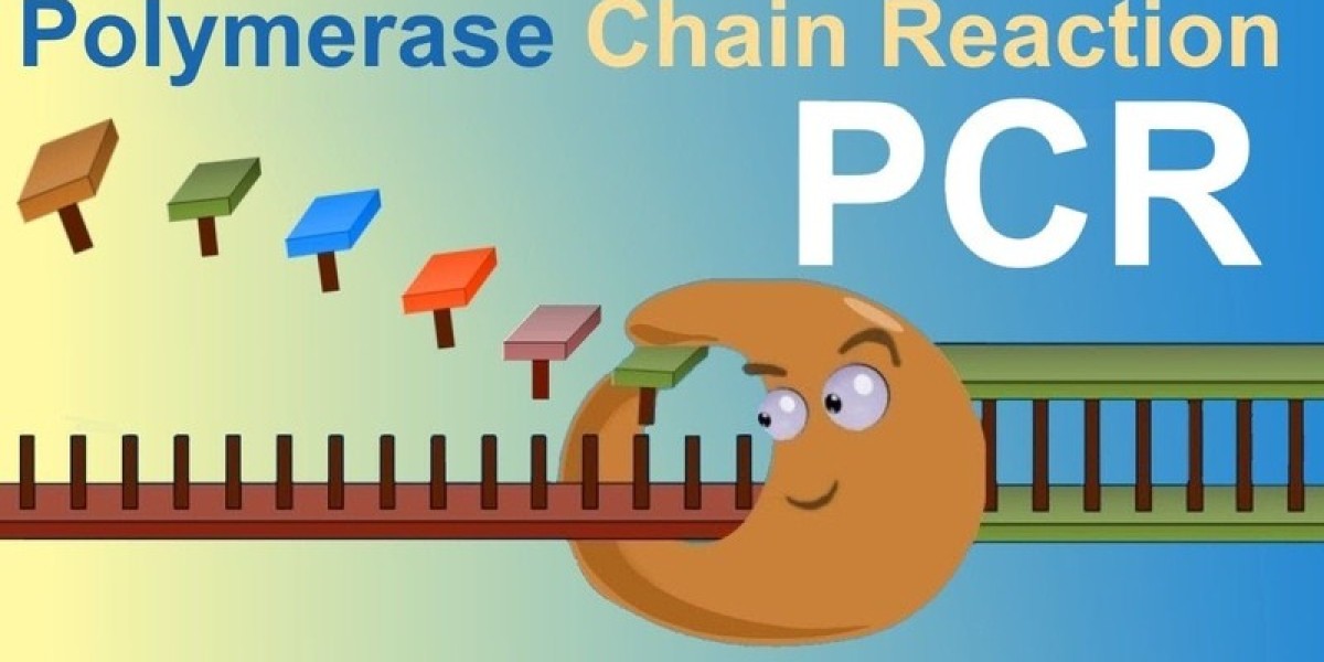 PCR in Clinical Diagnostics: A Major Growth Segment by 2034