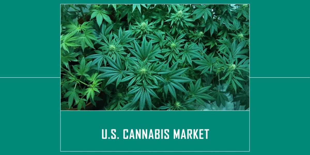 Evolving Public Behavior and Enhanced Research Efforts: Is this Indication of Better Days for the U.S. Cannabis Market?
