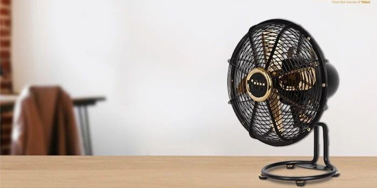 Aashi Minio: A Fusion of Tradition and Modern Elegance