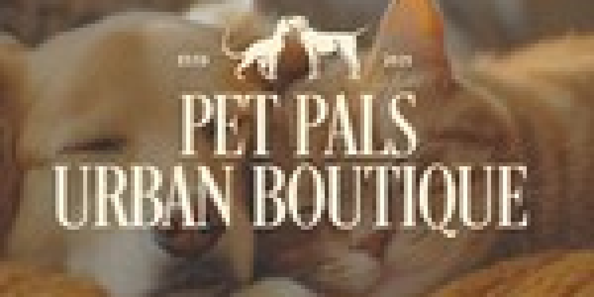 The Best Pet Accessories Brands: Top Choices for Your Furry Friend