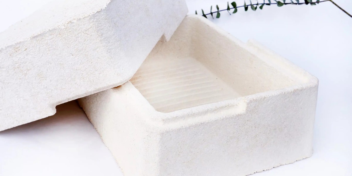 Mushroom Packaging Market Shifts: Exploring the Rising Demand for Sustainable and Biodegradable Packaging Solutions