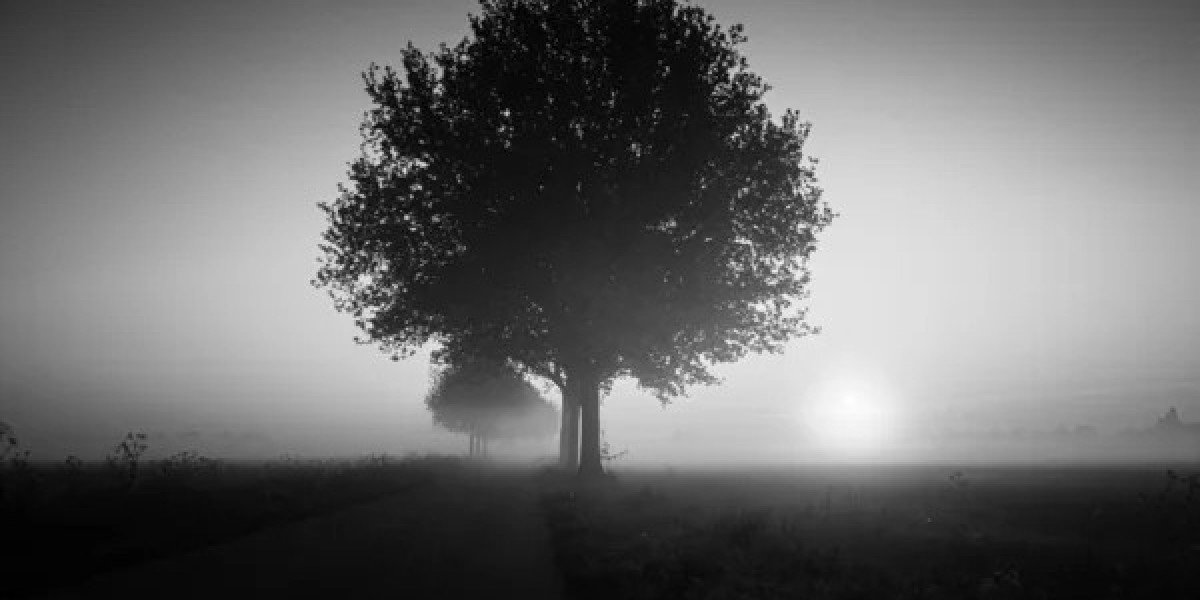 Evocative Imagery: Bringing Words to Life