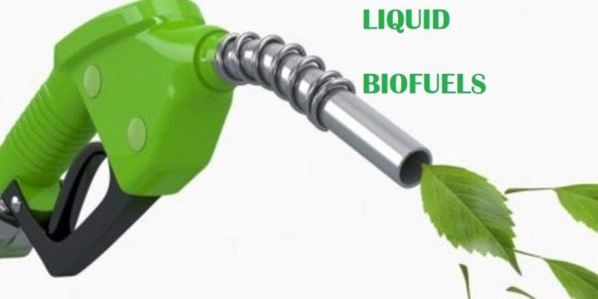 Liquid Biofuel Market Size 2031 (New Research) Report Reveals the Latest Trends and Growth Opportunities