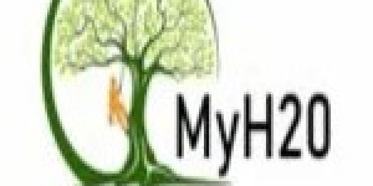 Expert Tree Removal Services in New Haven – Safe & Fast