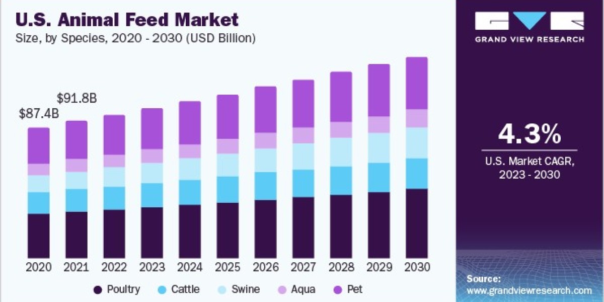 Animal Feed Market: Regional Insights and Growth Opportunities Worldwide