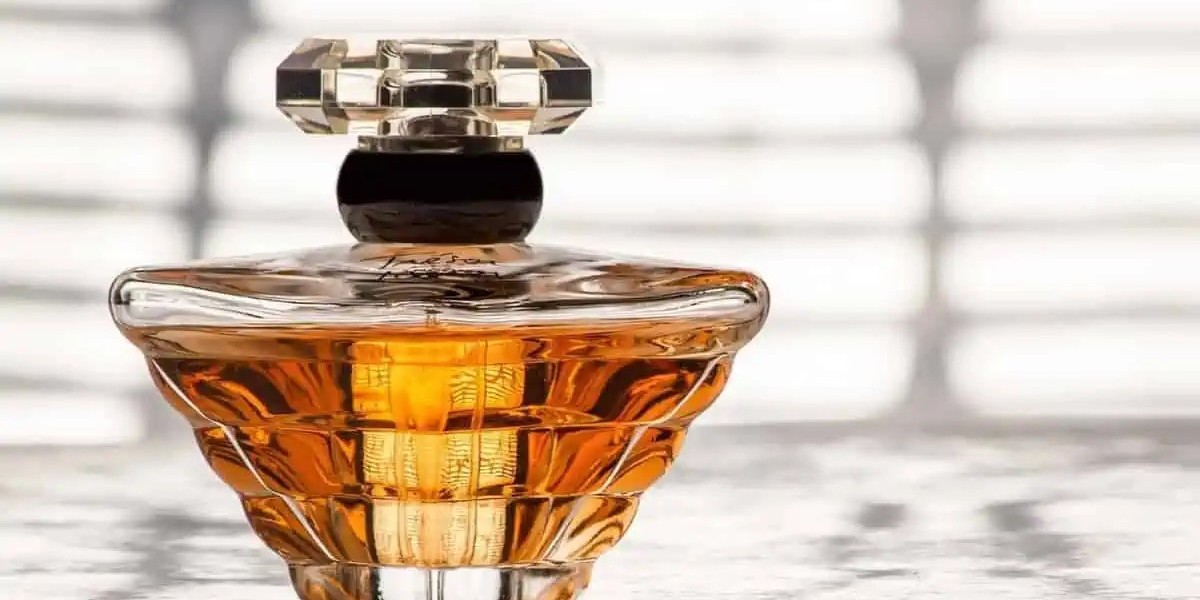 Fragrance Market Strategies Enhancing Consumer Engagement Through Omnichannel Retail