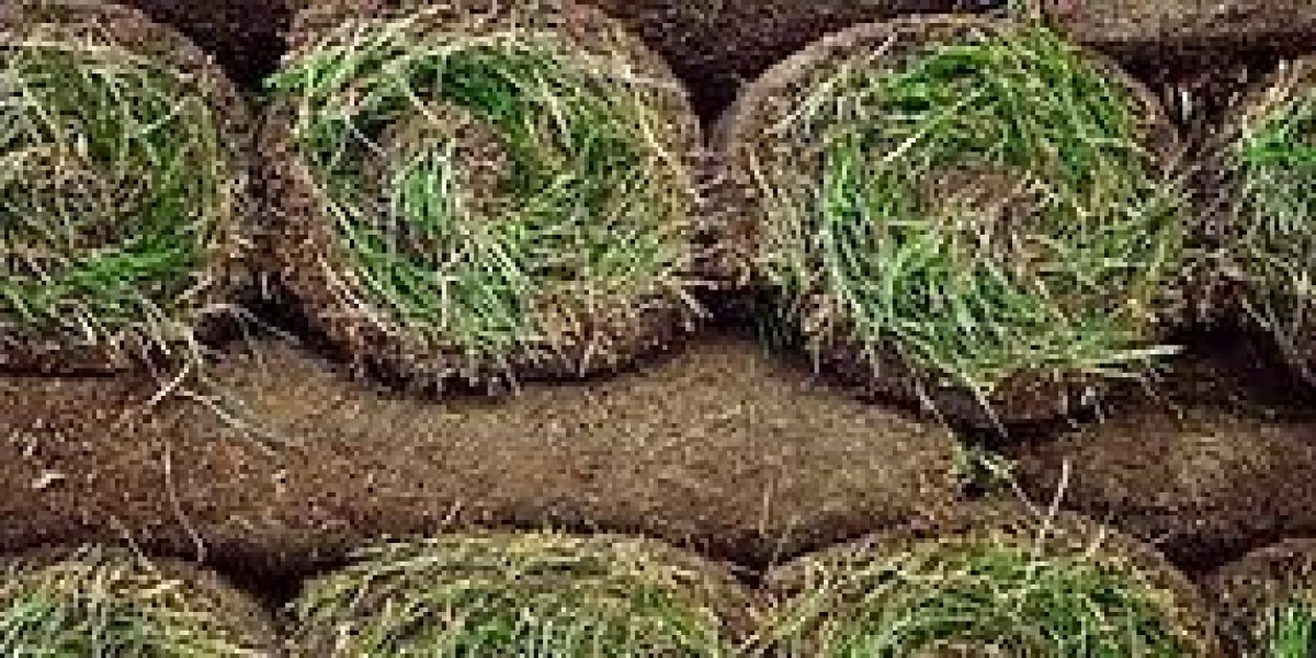 Sod Prices in Edmonton: What to Expect in 2025