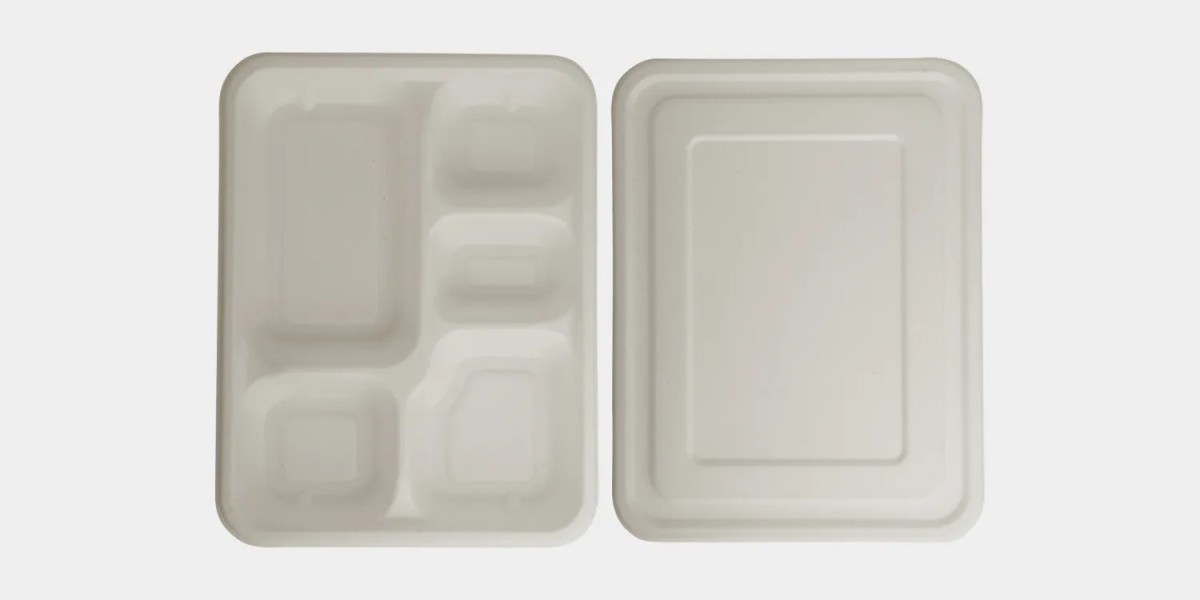 Biodegradable Plates: The Smart Choice for a Sustainable Future