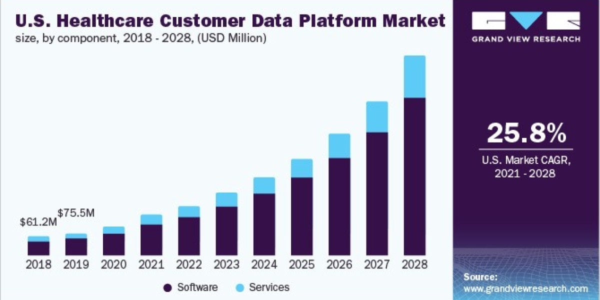 Healthcare Customer Data Platform Market 2028: Insights into Large Enterprises