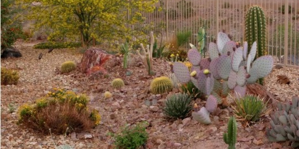 Xeriscape Contractors, Water smart and Desert Landscaping Designin Las Vegas