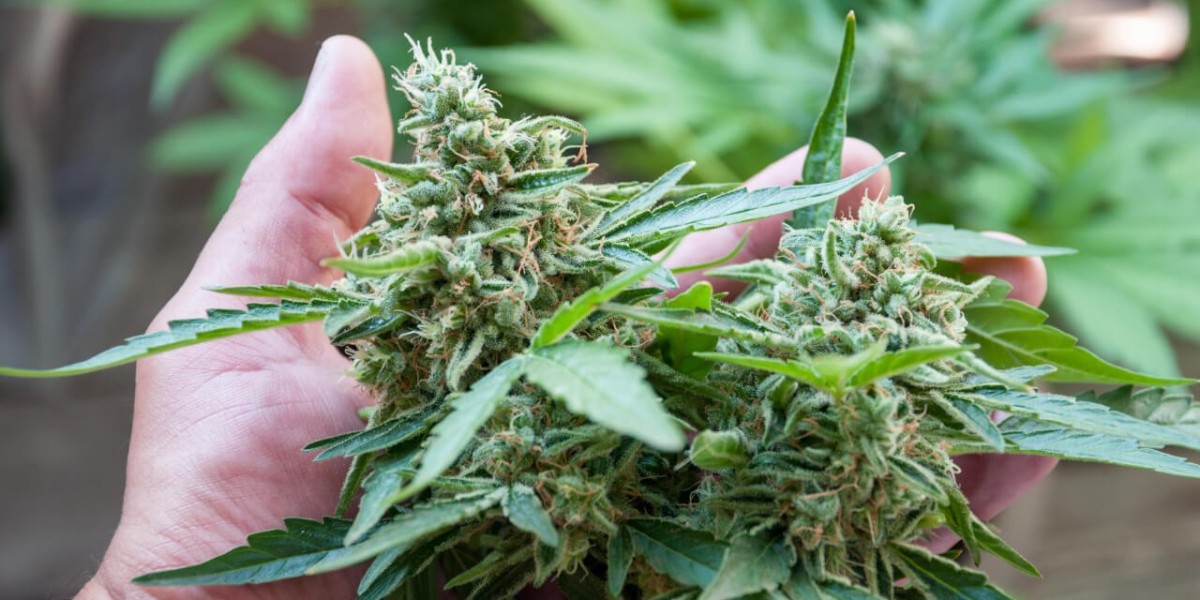 Weed Delivery in Monument, Colorado: Your Guide to Convenient Cannabis Shopping & Local Dispensaries