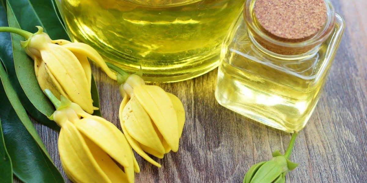 Regional Analysis of the Global Ylang Ylang Extract Market