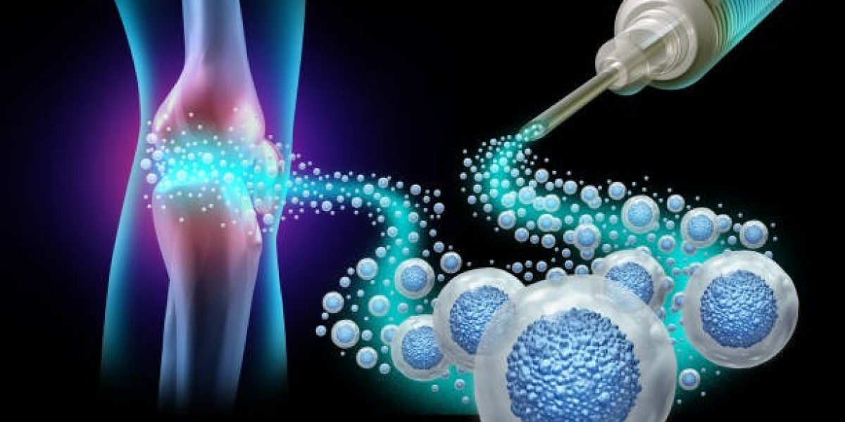 Mesenchymal Stem Cells Market Growth Unveiled: Strategic Future Insights 2024-2032