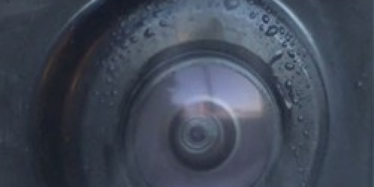 Innovations in Automotive Camera Cleaning: The Road Ahead to 2031