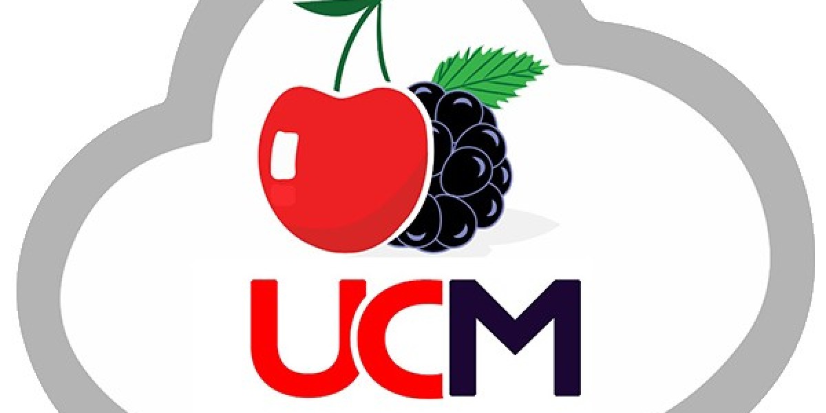 **The Rise of **CRM Software in Pakistan