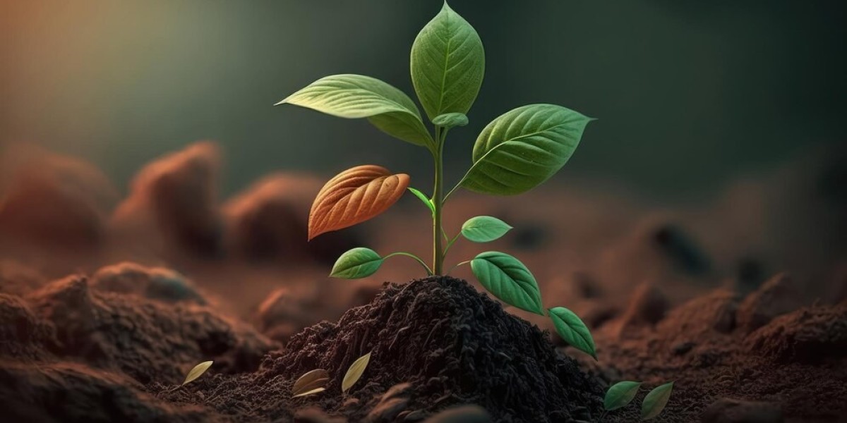 Biostimulants Market Hindrances to Widespread Adoption and Growth