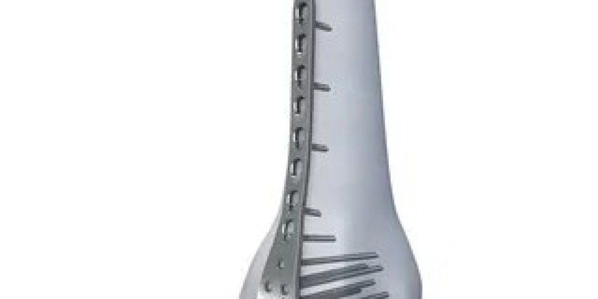Bone Fixation Plates Market: Key Trends and Growth Drivers Shaping the Industry in 2025