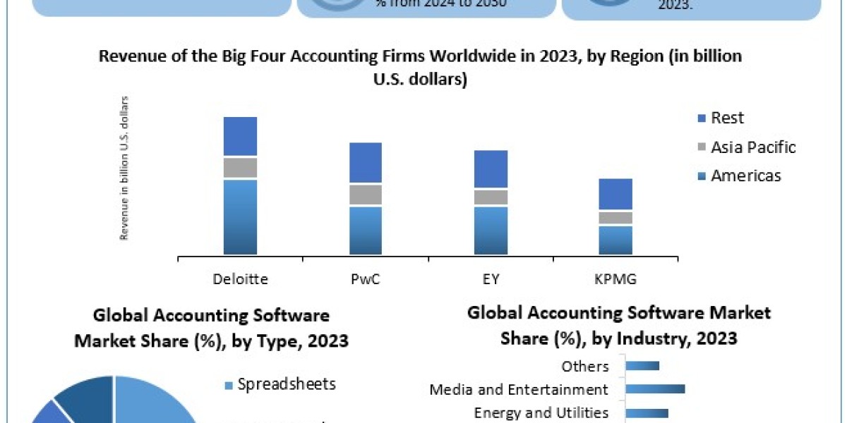 Accounting Software Market Share, In-depth Insights by Top Manufacturers and Forecast to 2030