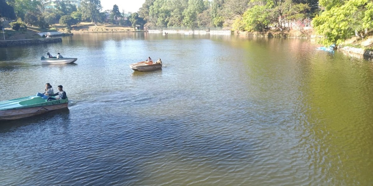 Discover the Mesmerizing Meghalaya: A Perfect Tour Package