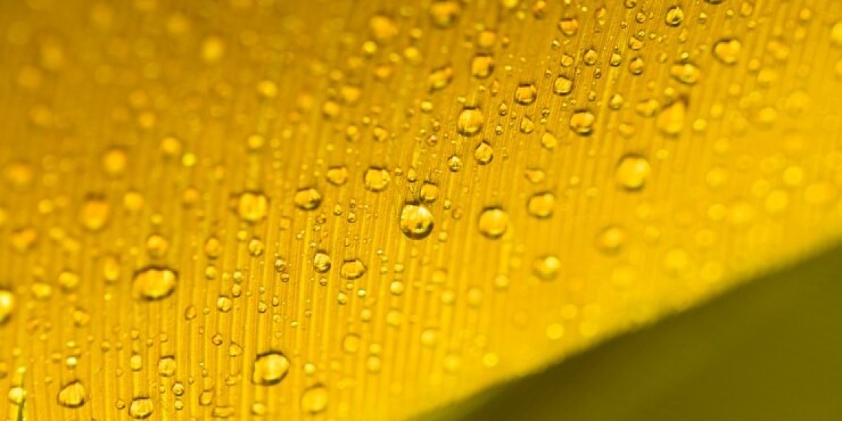 Refrigeration Oil Market Innovations and the Impact of Environmental Regulations