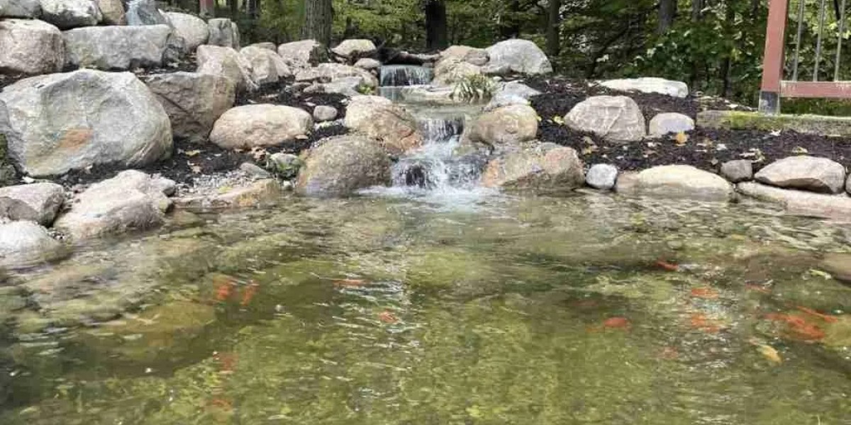 Piscine Naturelle's Sustainable Pond Maintenance & Care Expert Solutions